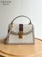 B12X64B467 Popular   leather bag