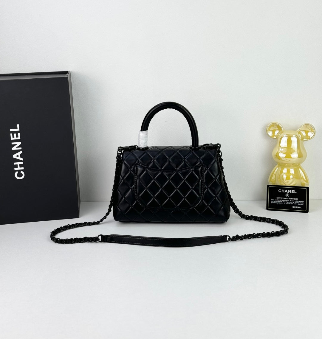 B1N55C25 Popular    Purse bags