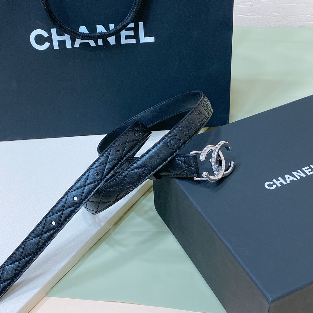 P1R15C151 Popular   High quality belt With full package