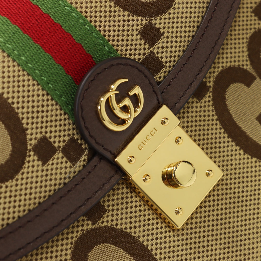 B1X43B50 Popular leather bag 