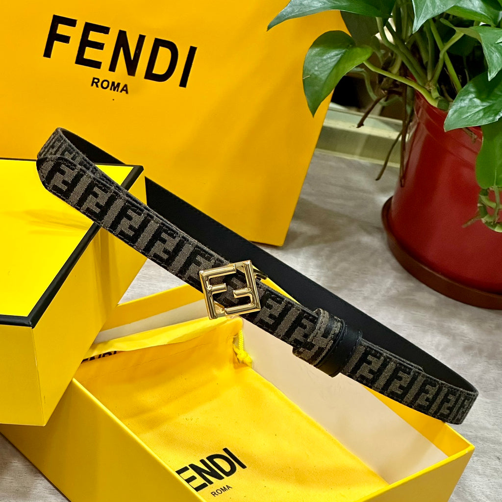 P1W15F187 Popular   High quality belt With full package