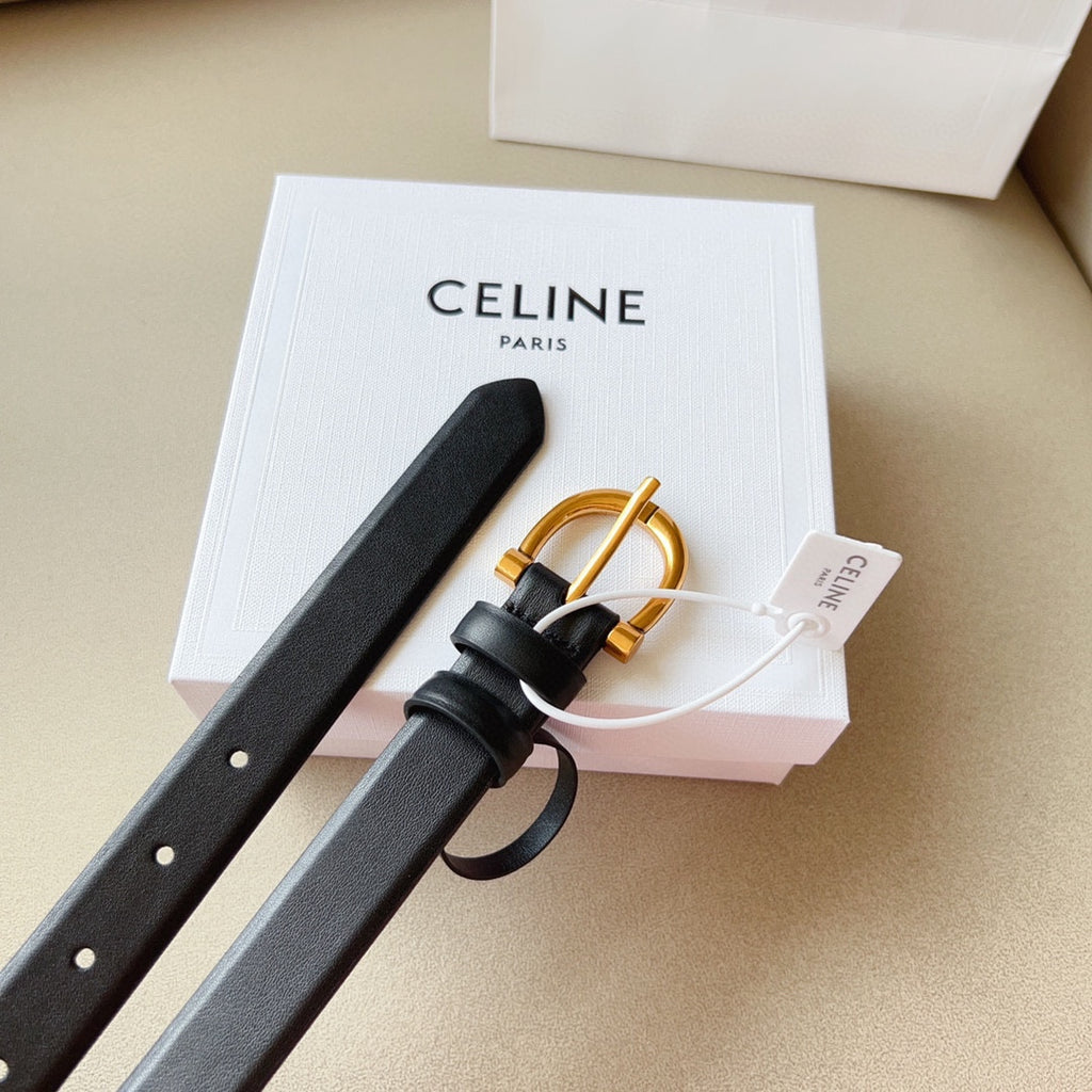 P1W15N178 Popular High quality belt With full package