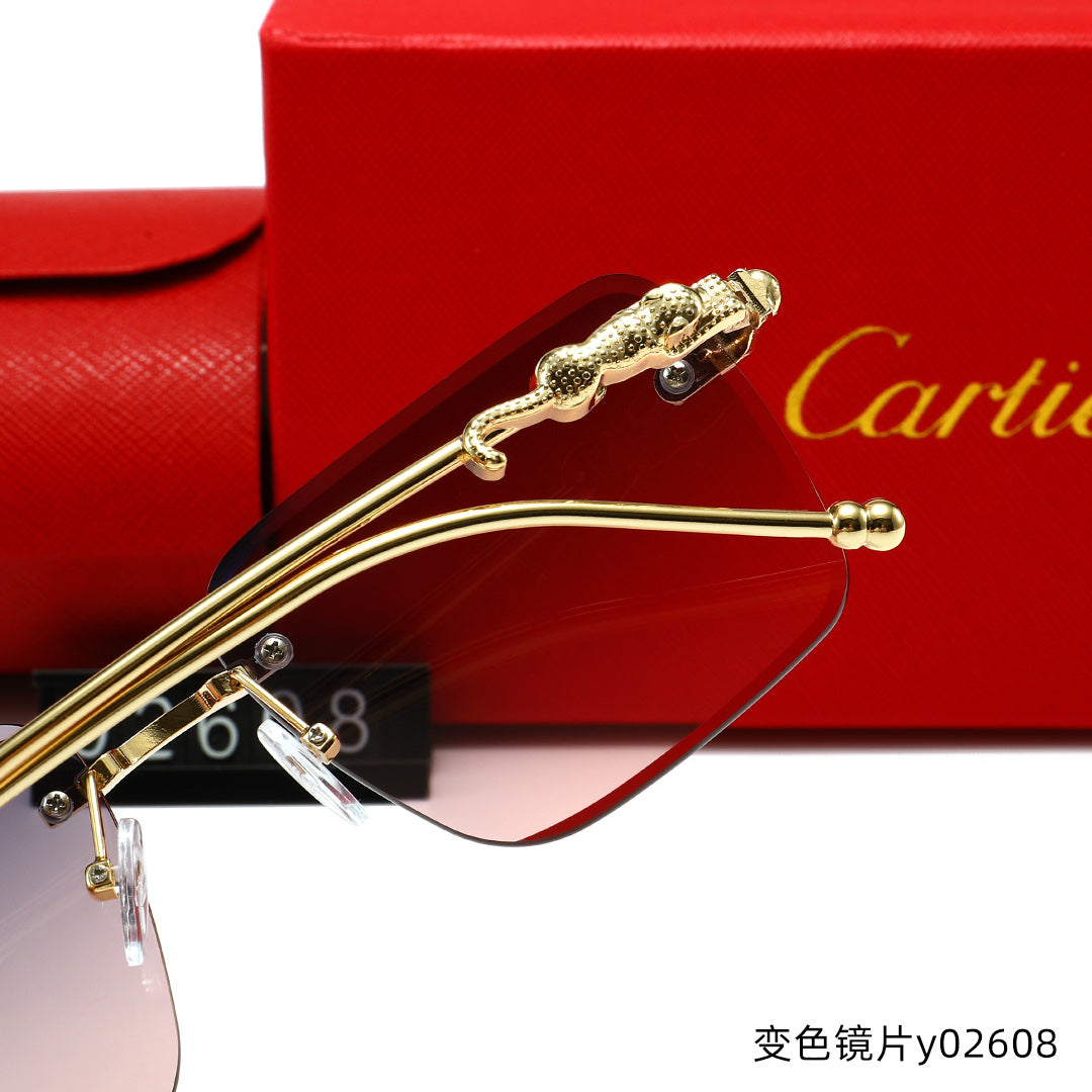 T1R86K16 Popular Sunglasses