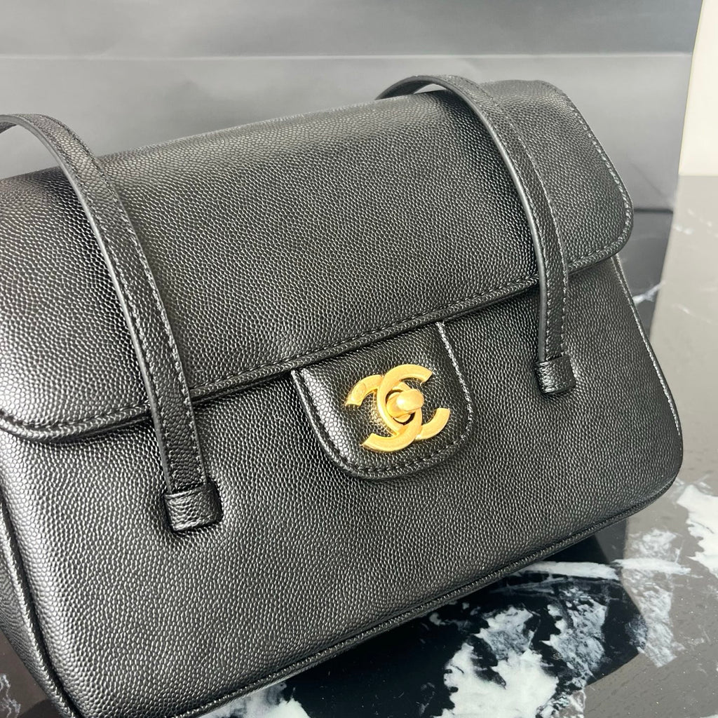 B1X46C1 Popular leather bag