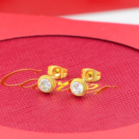 X2B70K17E Popular   Earrings
