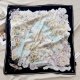 W1N36C15 Popular Silk Scarve