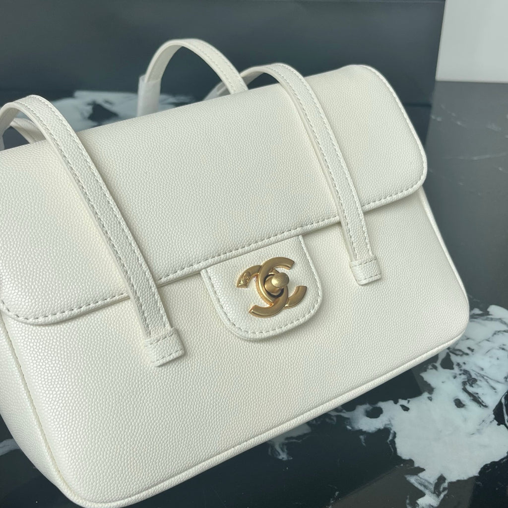 B1X46C1 Popular leather bag