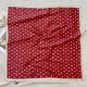 W1N36A14 Popular Silk Scarve