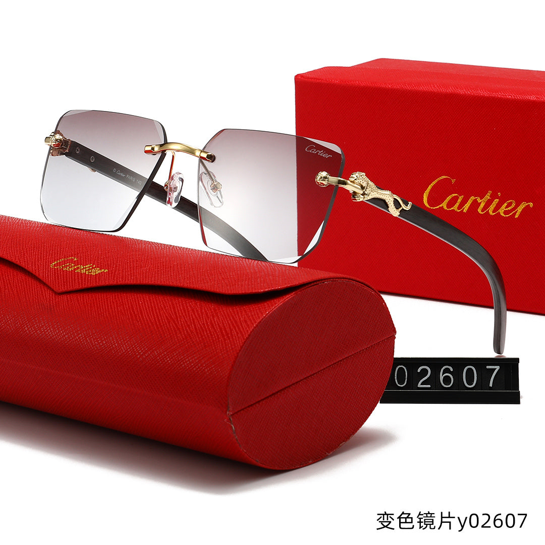 T1R86K17 Popular Sunglasses