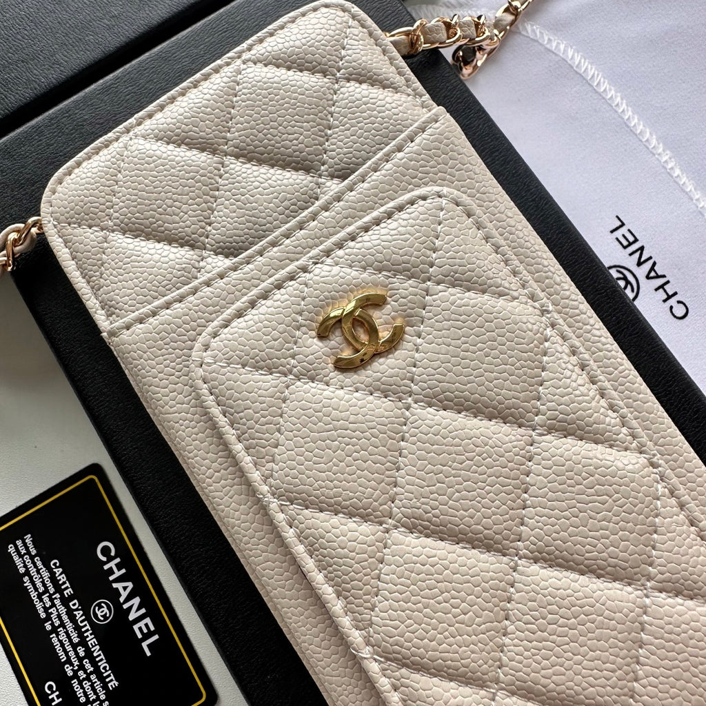 B1P46C3 Popular leather bag