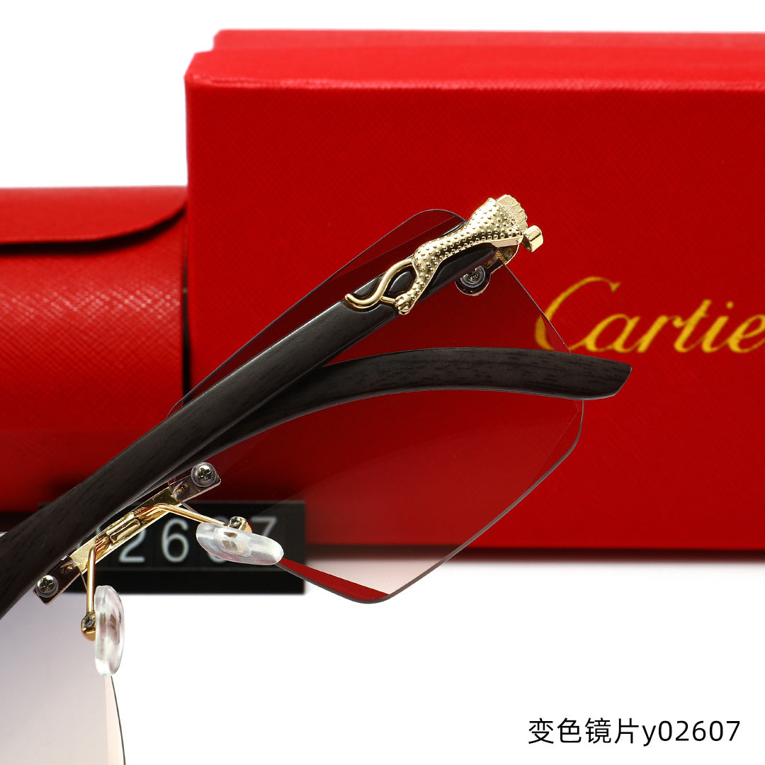 T1R86K17 Popular Sunglasses