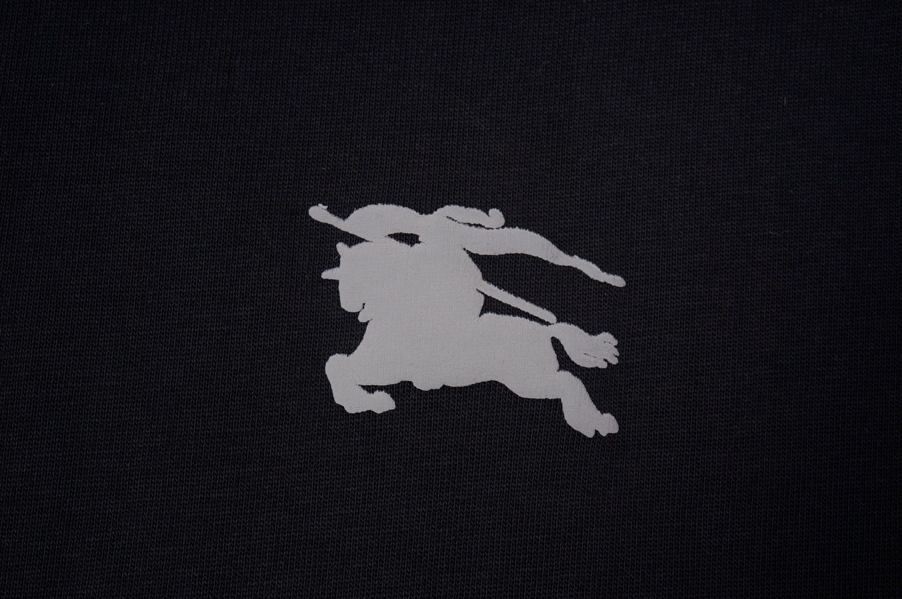 U1R45R206 Popular T-shirt