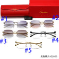 T1R86K19 Popular Sunglasses