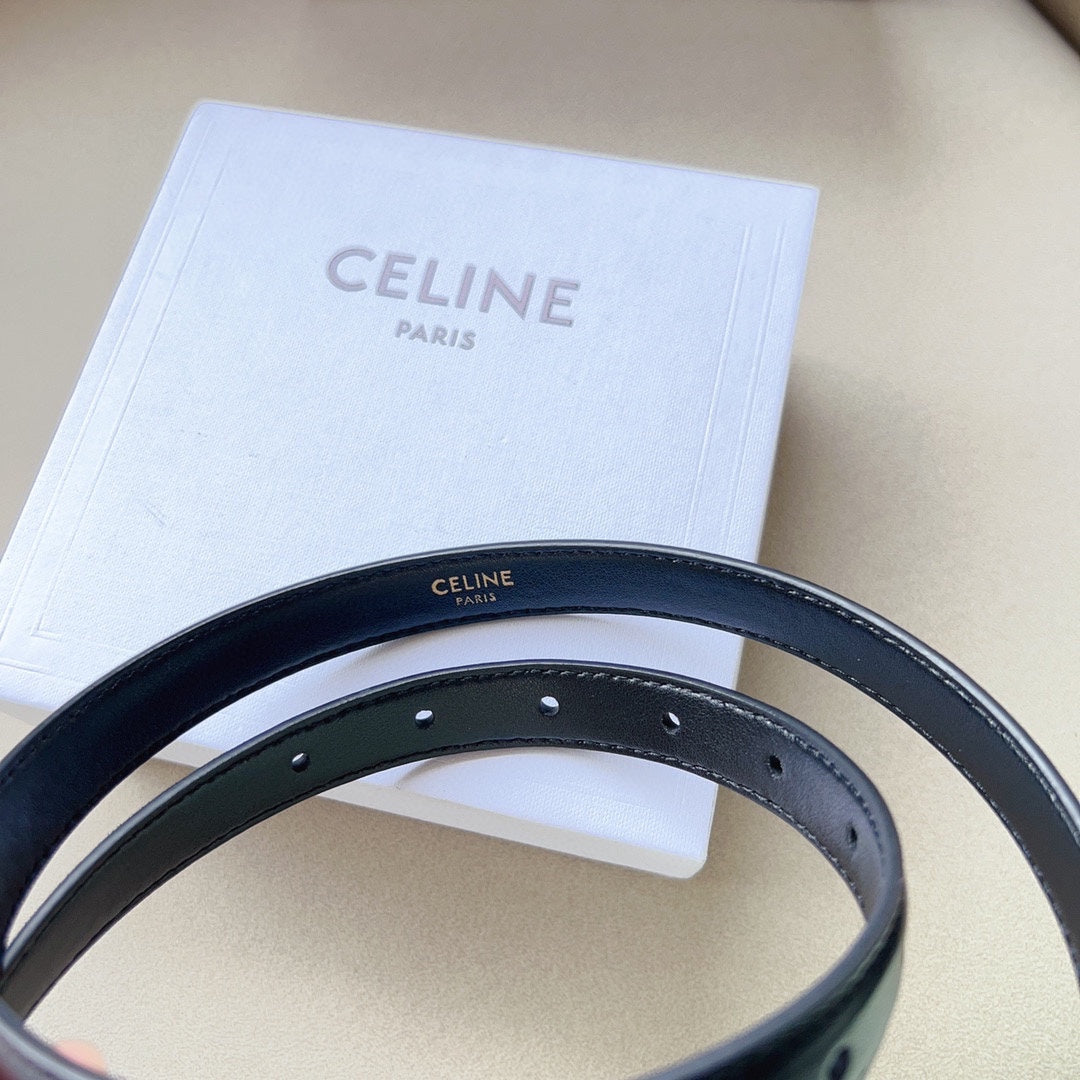 P1W15N180 Popular   High quality belt With full package