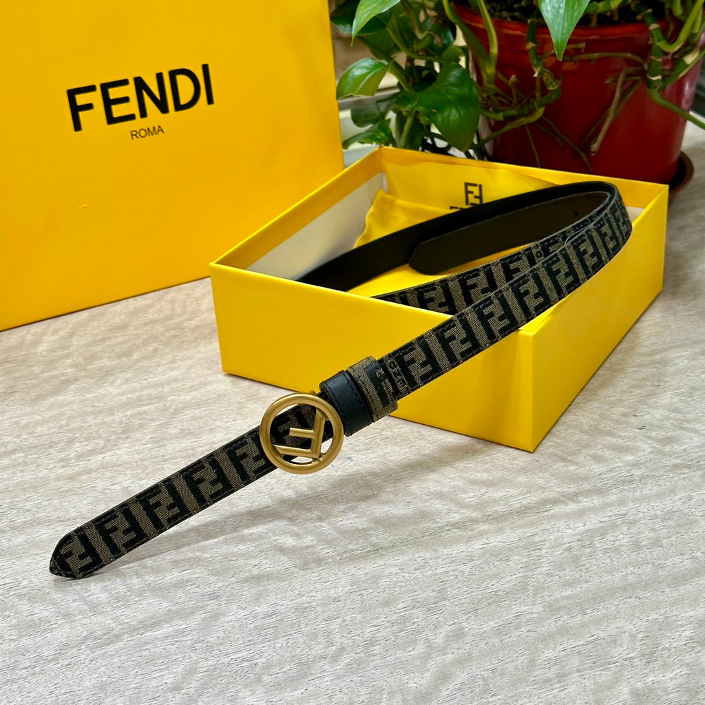 P1W15F176 Popular High quality belt With full package