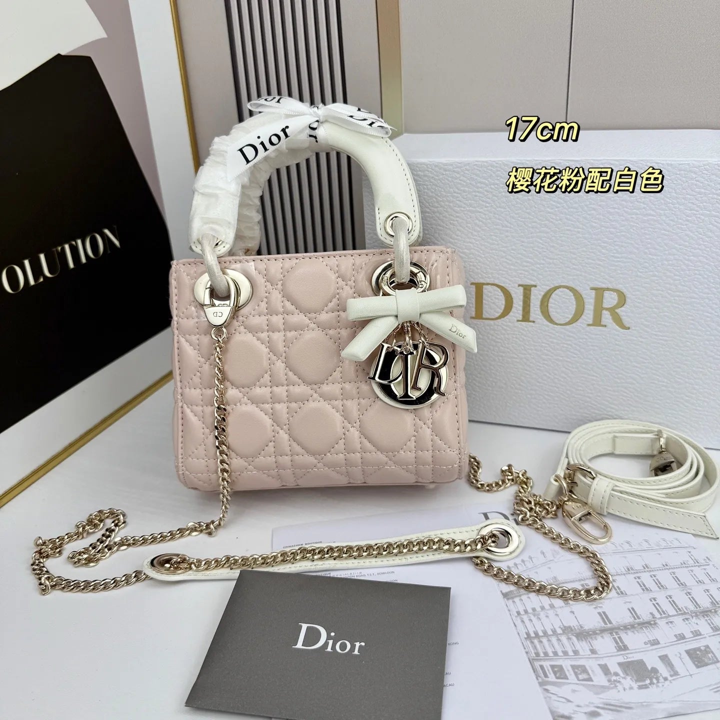 B1R66D1 Popular leather bag