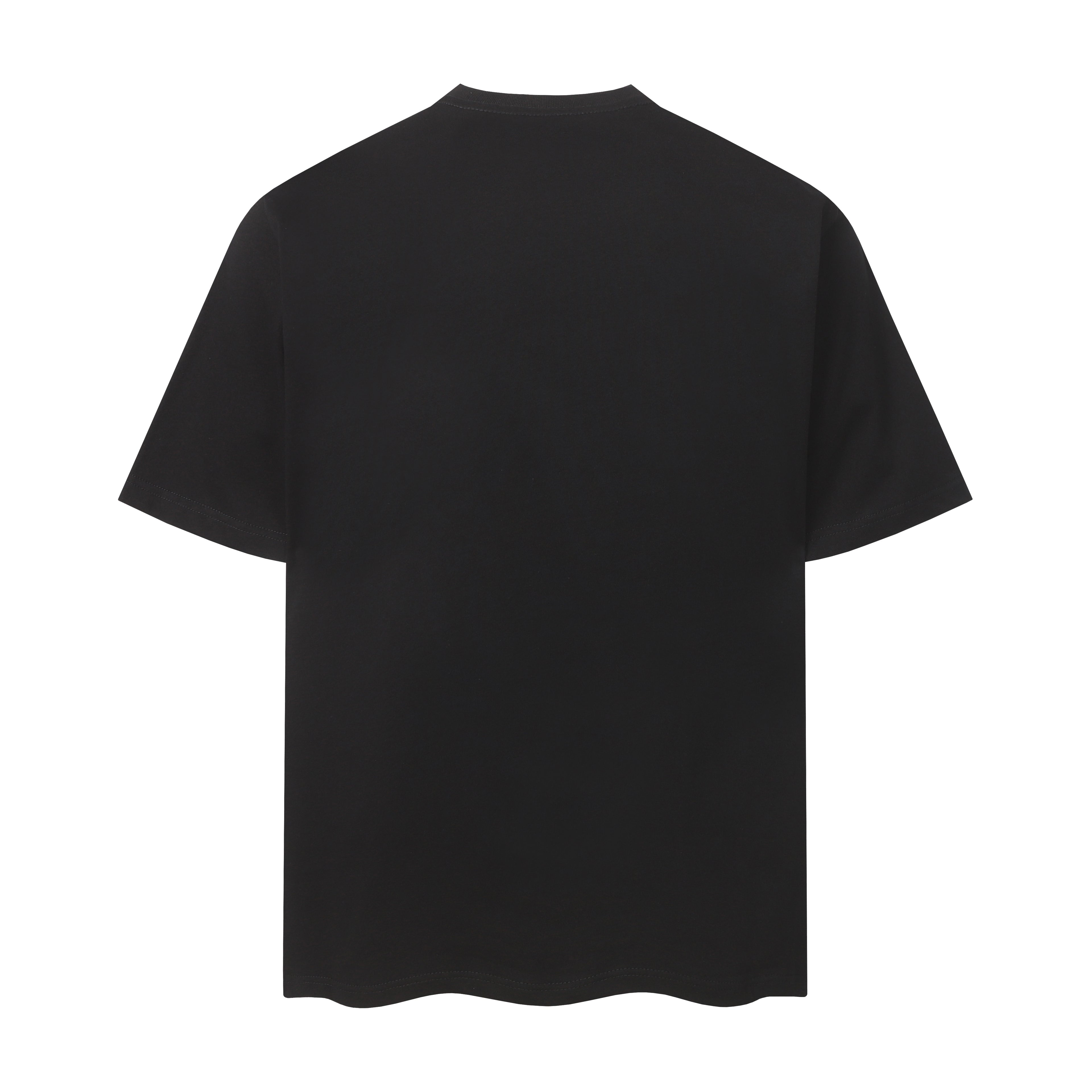 U1P36A45 Popular T-shirts