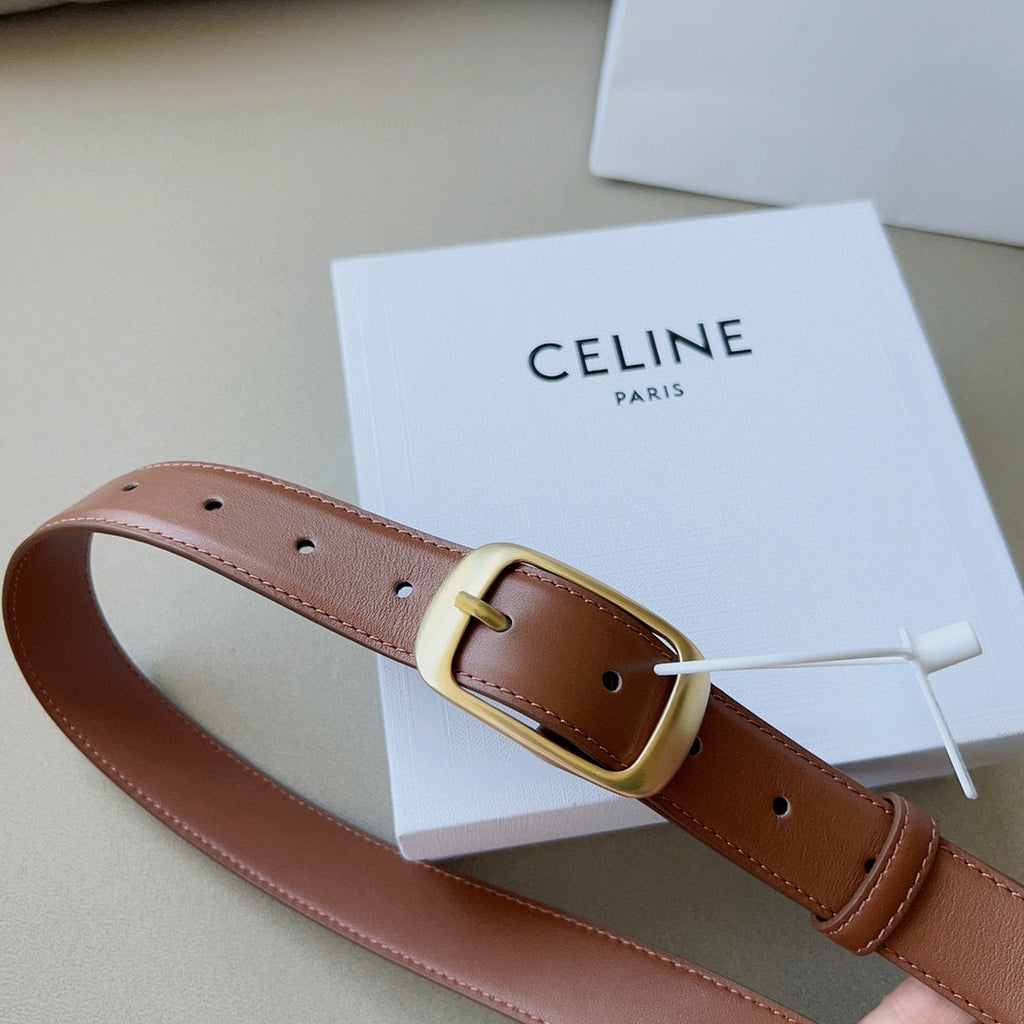 P1W15N180 Popular   High quality belt With full package