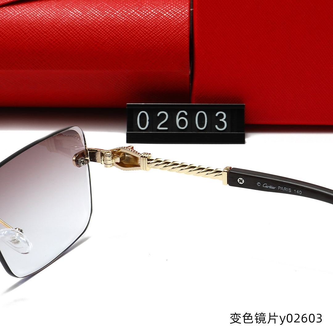 T1R86K12 Popular Sunglasses