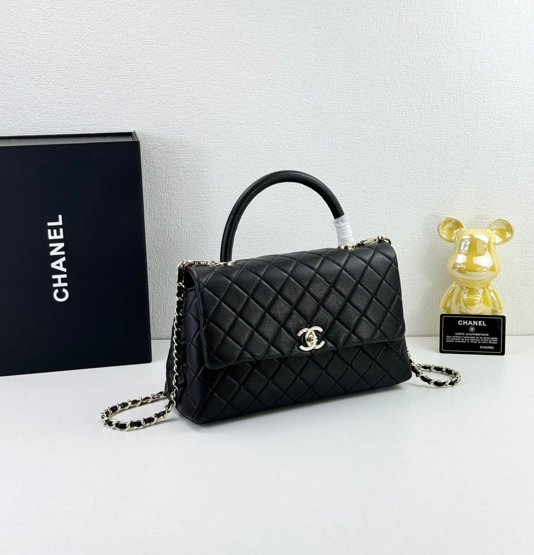 B1N55C24 Popular    Purse bags