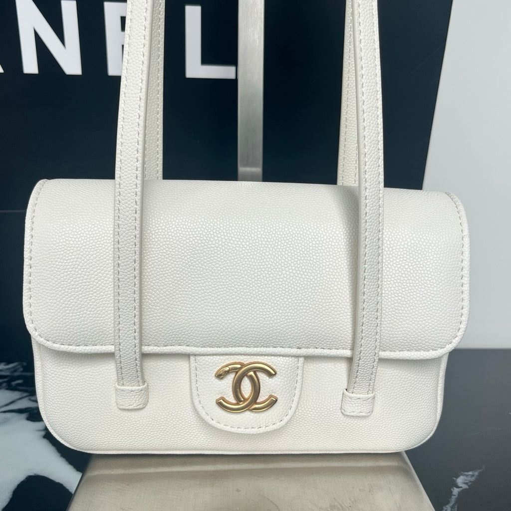 B1X46C1 Popular leather bag