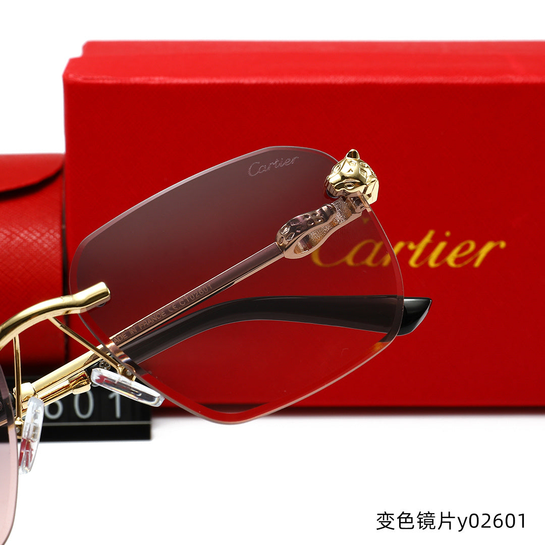 T1R86K13 Popular Sunglasses