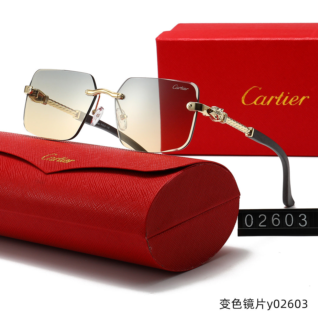 T1R86K12 Popular Sunglasses