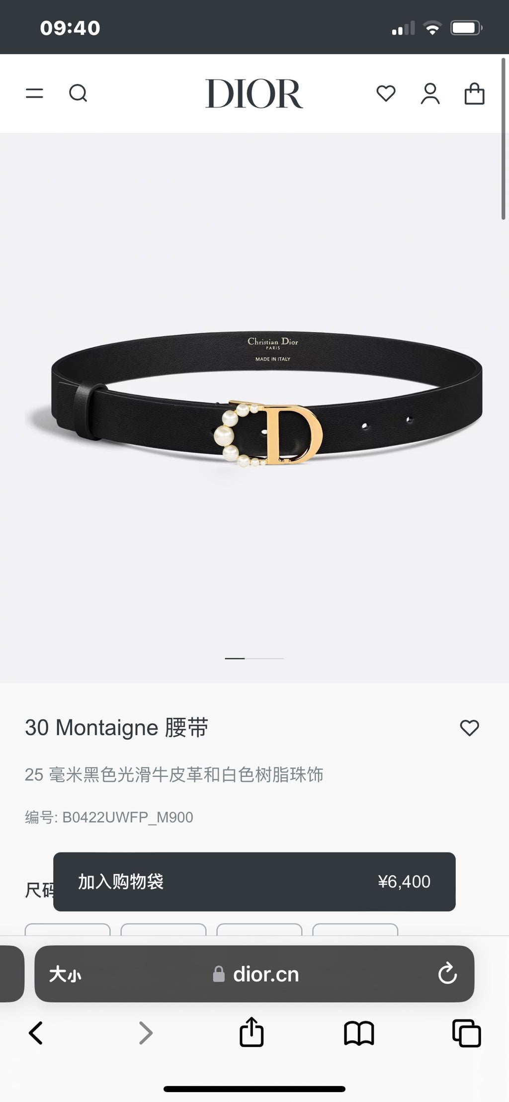 P1R55D199 Popular   High quality belt With full package