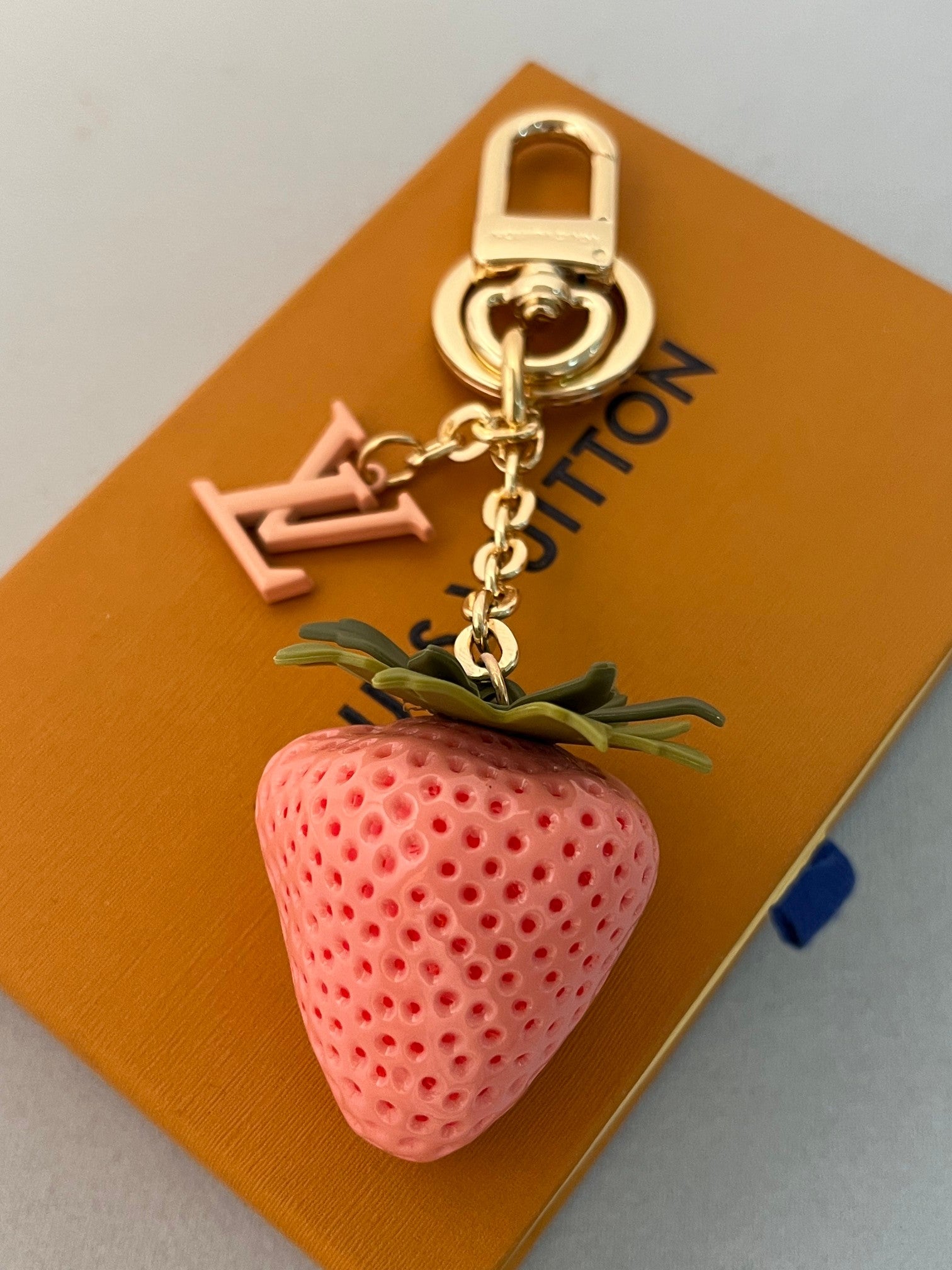 A1Z105E19 Popular bag 's charms accessories