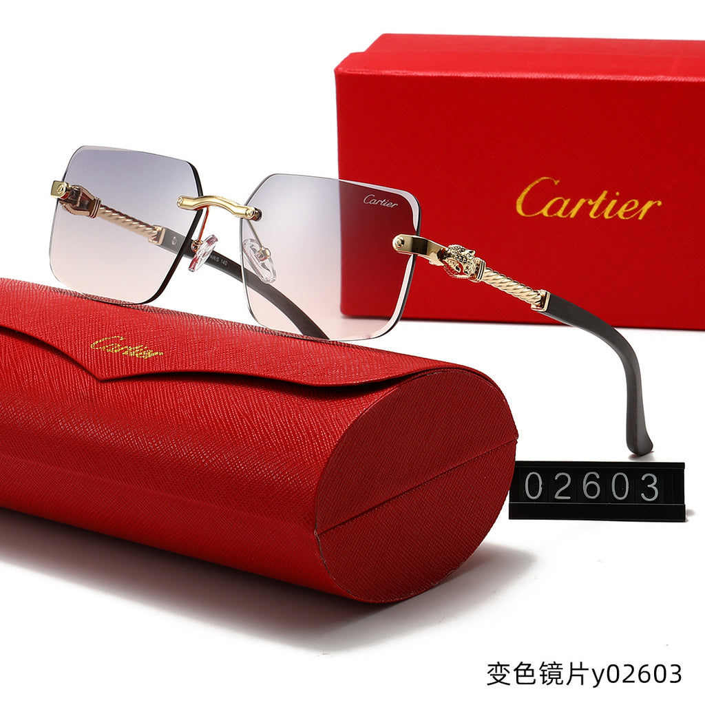 T1R86K12 Popular Sunglasses